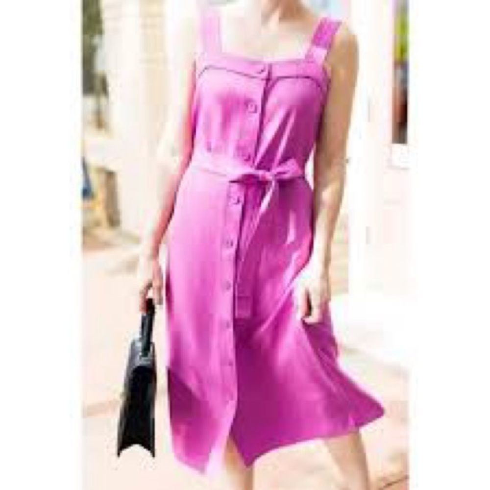 Everlane Button Up Belted Sleeveless Shirt Dress